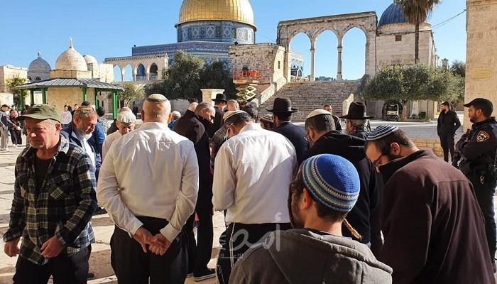 423 مستوطناً اقتحموا الأقصى خلال الأسبوع الماضي