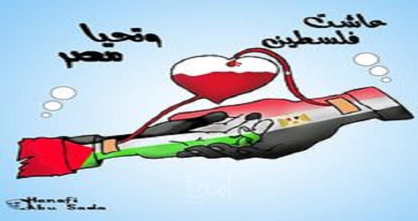 من غزة .. تحيا مصر