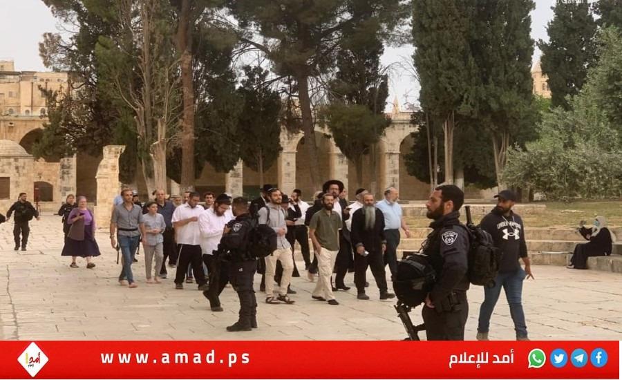 القدس: مستوطنون إرهابيون يقتحمون "المسجد الأقصى"