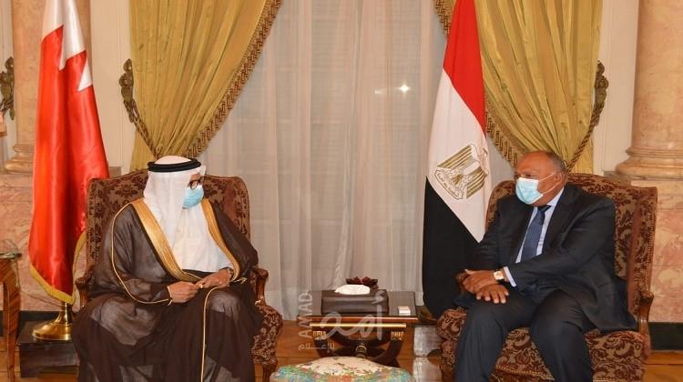 وزيرا الخارجية المصري والبحريني يبحثان أخر مستجدات القضية الفلسطينية والأوضاع في ليبيا