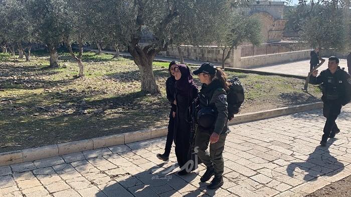القدس: قوات الاحتلال تعتقل مواطنة مقدسية من منزلها