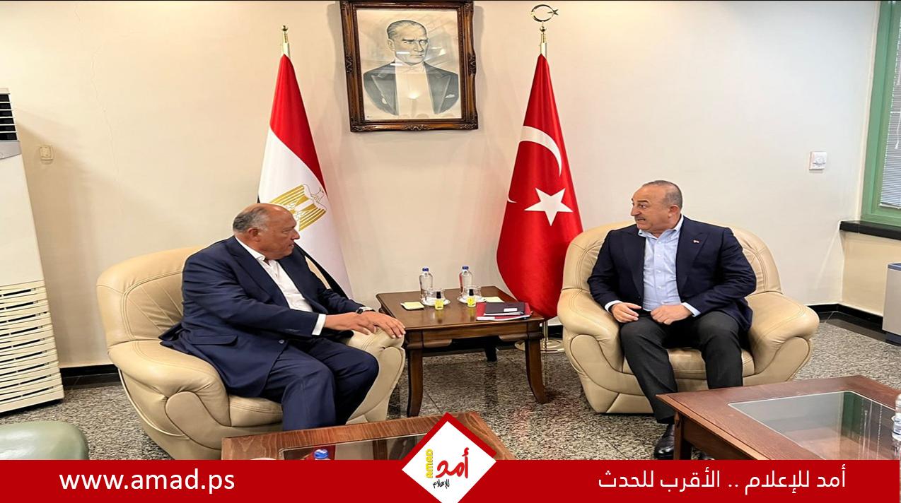 وزير الخارجية التركي: السيسي وأردوغان قد يجتمعان خلال الفترة المقبلة