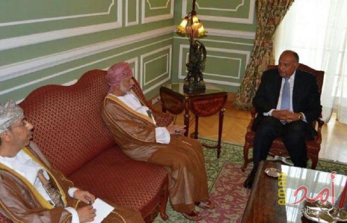 مصر وعمان تبحثان تعزيز التعاون في المجال الدفاعي