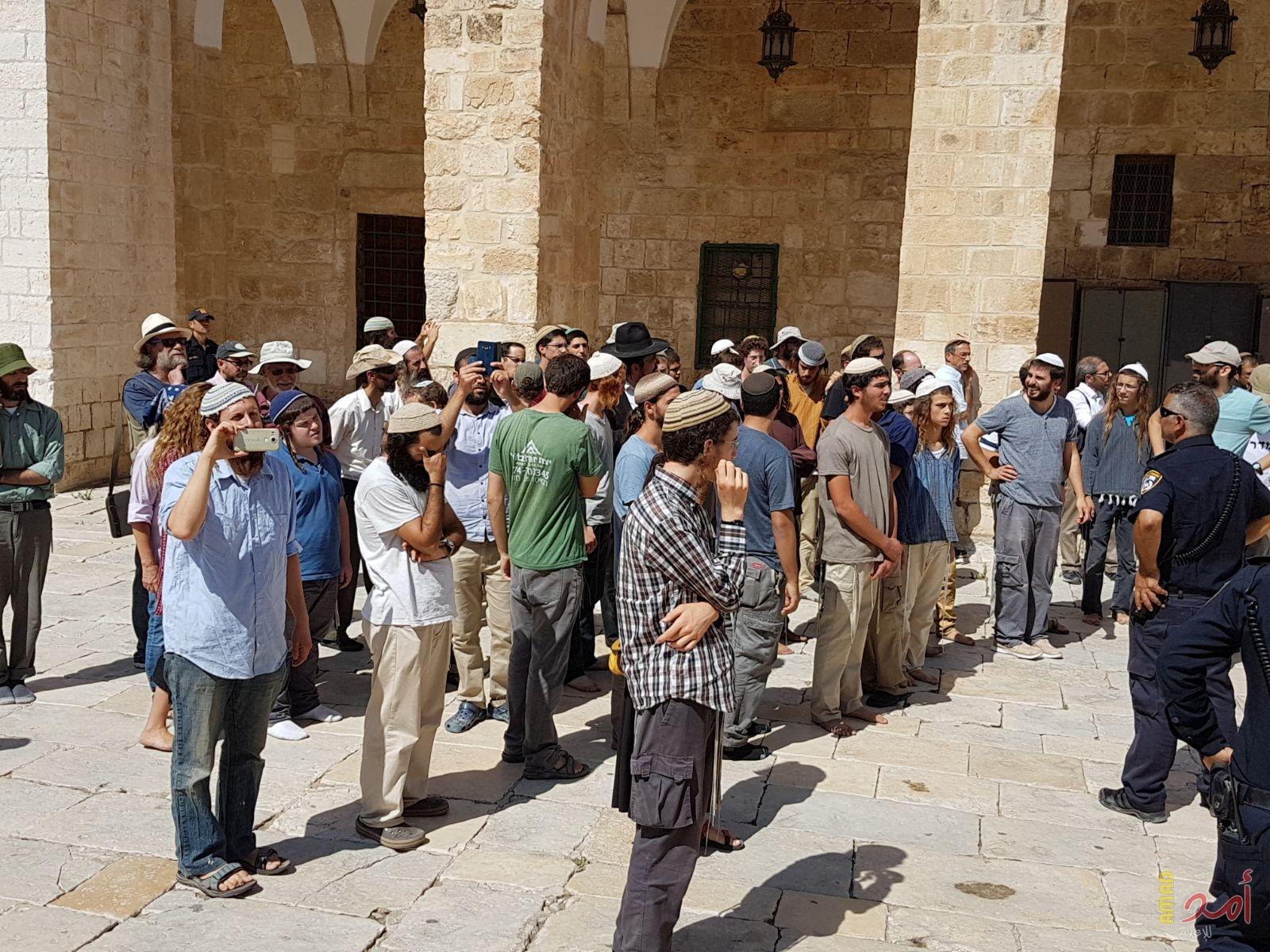 فيديو.. نواب كنيست والمتطرف غليك يقتحمون المسجد الأقصى