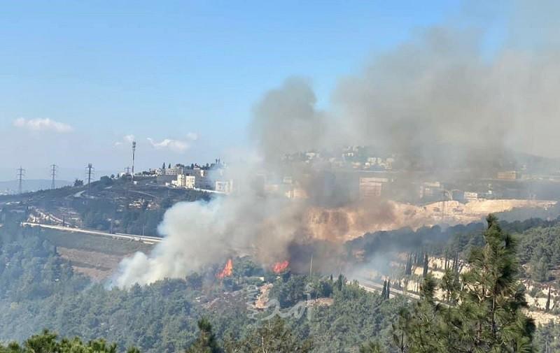 السيطرة على حريق اندلع في جبال القدس- فيديو