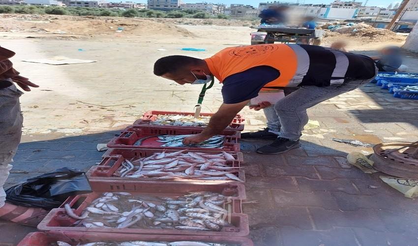 بلدية النصيرات تجري جولة ميدانية لمتابعة محلات المجمدات والأسماك في سوق المصدر