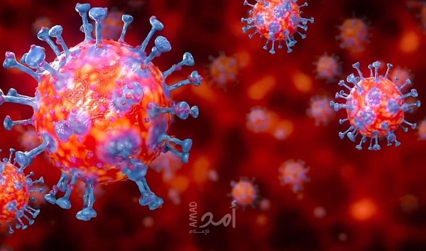 الأردن: 12 وفاة و1579 اصابة "كورونا"