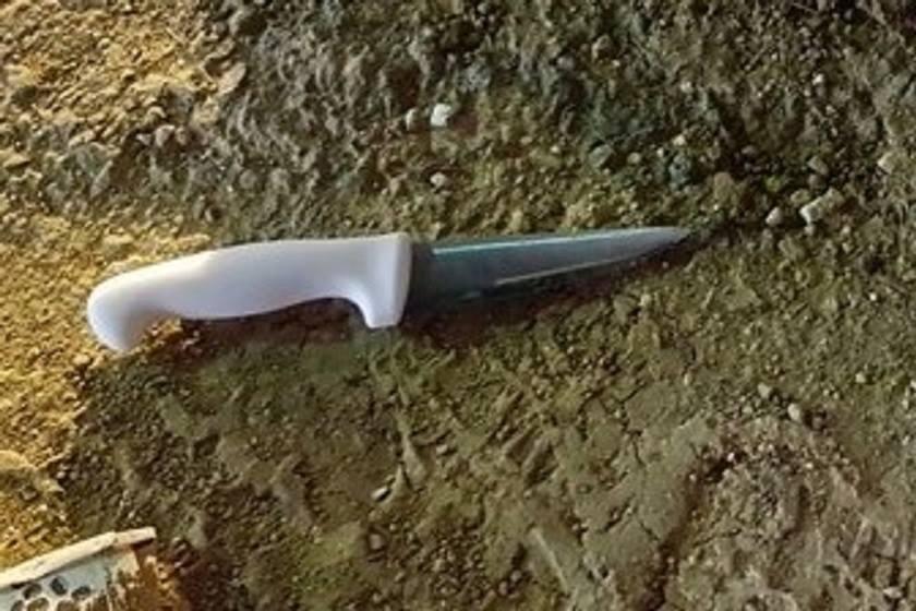جيش الاحتلال يعتقل معلمة مدرسة بدعوى حيازتها سكين في الخليل
