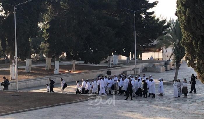 مستوطنون يواصلون اقتحام "الأقصى" وشرطة الاحتلال تهاجم مصلى "باب الرحمة"