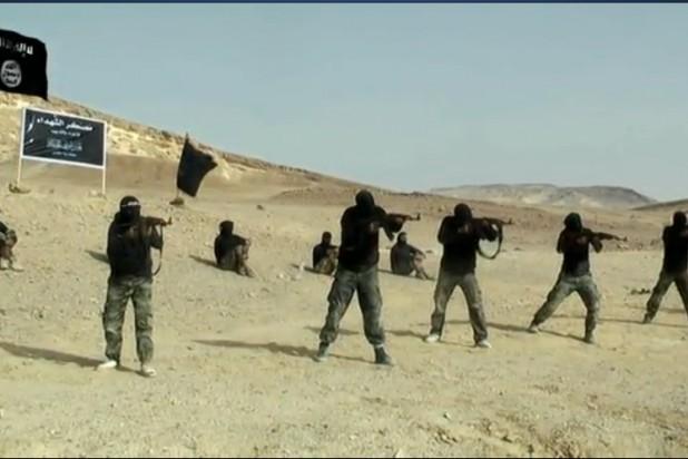 لماذا لا تُهاجم إسرائيل الجماعات السلفية في غزة؟
