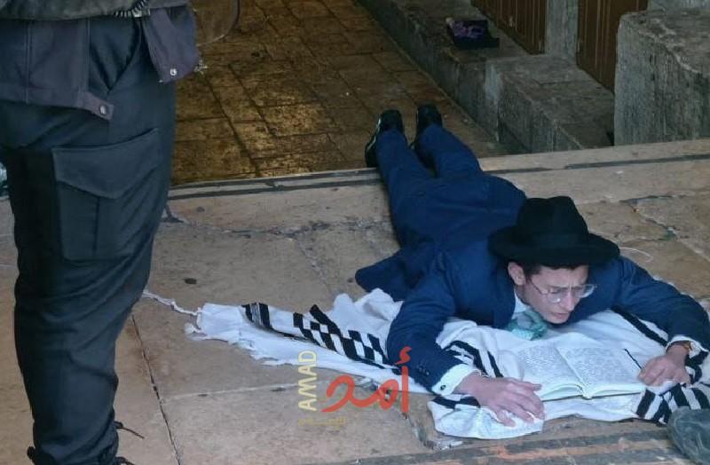 القدس: مستوطنون إرهابيون يؤدون "طقوساً تلمودية" أمام أبواب المسجد الأقصى