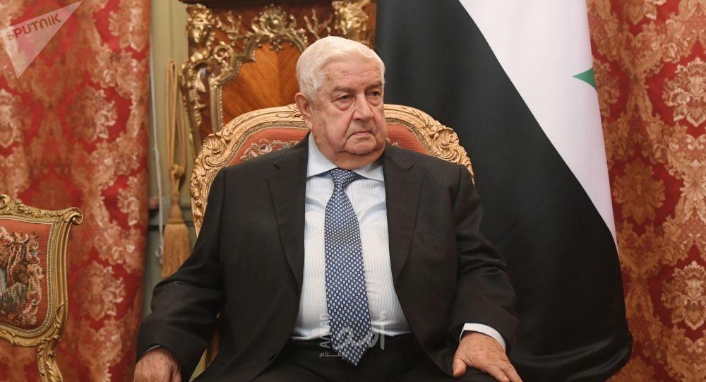 أول وزير خارجية عربي يهنئ المقداد بتوليه منصبه الجديد