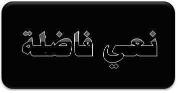 (أمدللاعلام) يعزي نبيل ابو ردينة بوفاة والدته