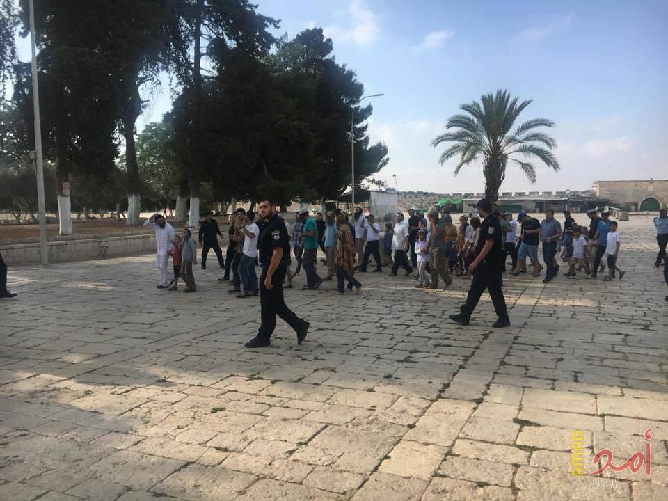 مستوطنون يقتحمون الأقصى بحراسةٍ مشددة