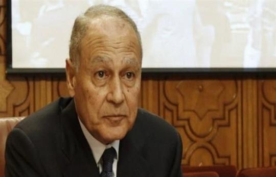 أبو الغيط يعتزم التوسط بين مصر وقطر