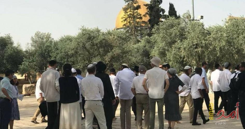 مستوطنون يؤدون طقوساً دينية في المسجد الأقصى