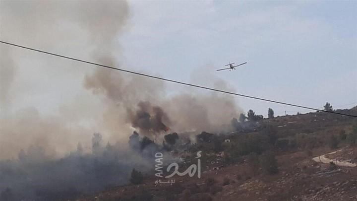 النيران تلتهم أنحاء واسعة في مناطق بإسرائيل وإخلاء آلاف المنازل -صور