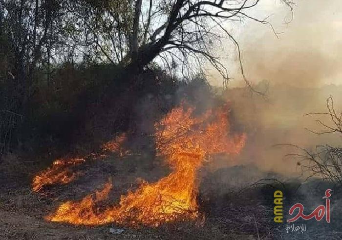 اندلاع حريق في مزرعة للأغنام شرق قطاع غزة