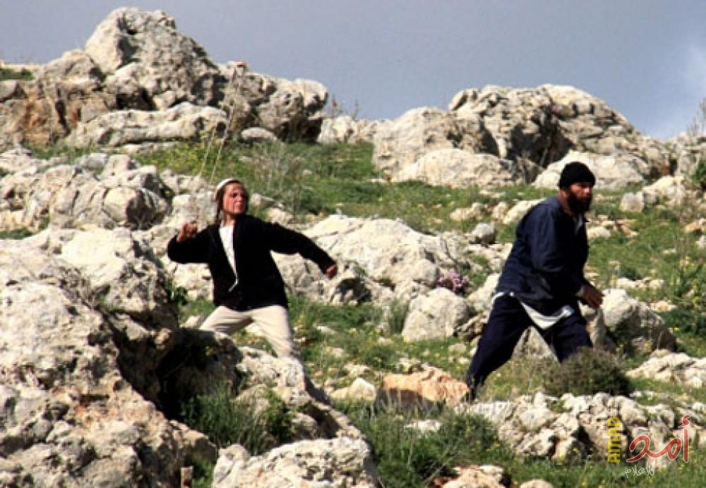 مستوطنون يعتدون على مسن في الخليل