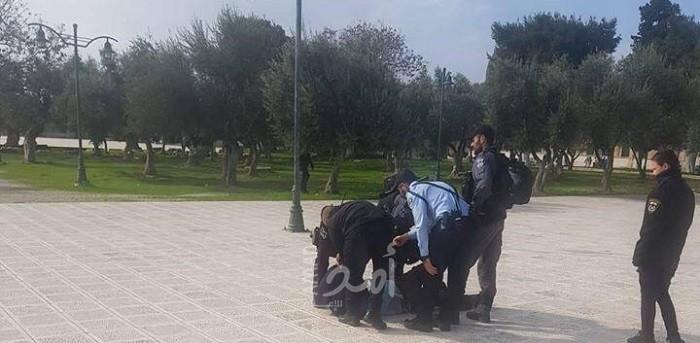 اعتقال عضو الكنيست "يهودا اغليك" في ساحات "المسجد الأقصى" بعد محاولته سرقة حمار