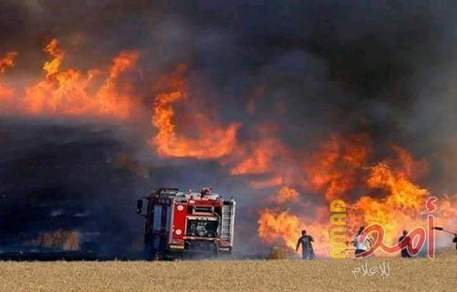 اندلاع (4) حرائق شرق المنطقة الوسطى بفعل بالونات حارقة