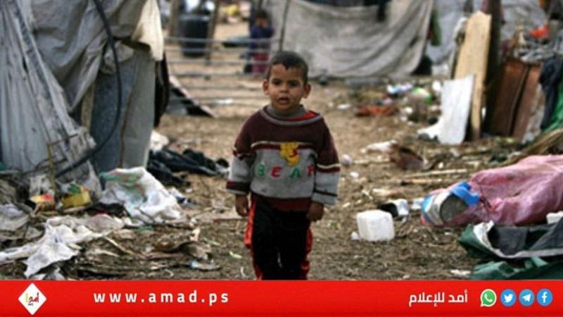 الأمم المتحدة: أكثر من مليون شخص في غزة يواجهون انعدام الأمن الغذائي