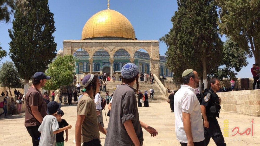 54 مستوطناً يقتحمون الأقصى بحماية شرطة للاحتلال