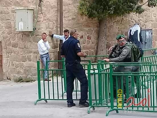 بالصور.. قوات الاحتلال تعتقل شاب بمحيط الحرم الإبراهيمي في الخليل
