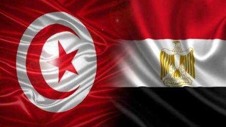 صحيفة تركية: مذكرة التفاهم لتحسين العلاقات بين تركيا ومصر جاهزة