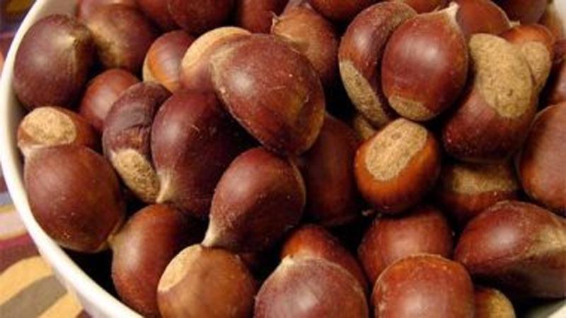 6 فوائد لمكسرات أبو فروة