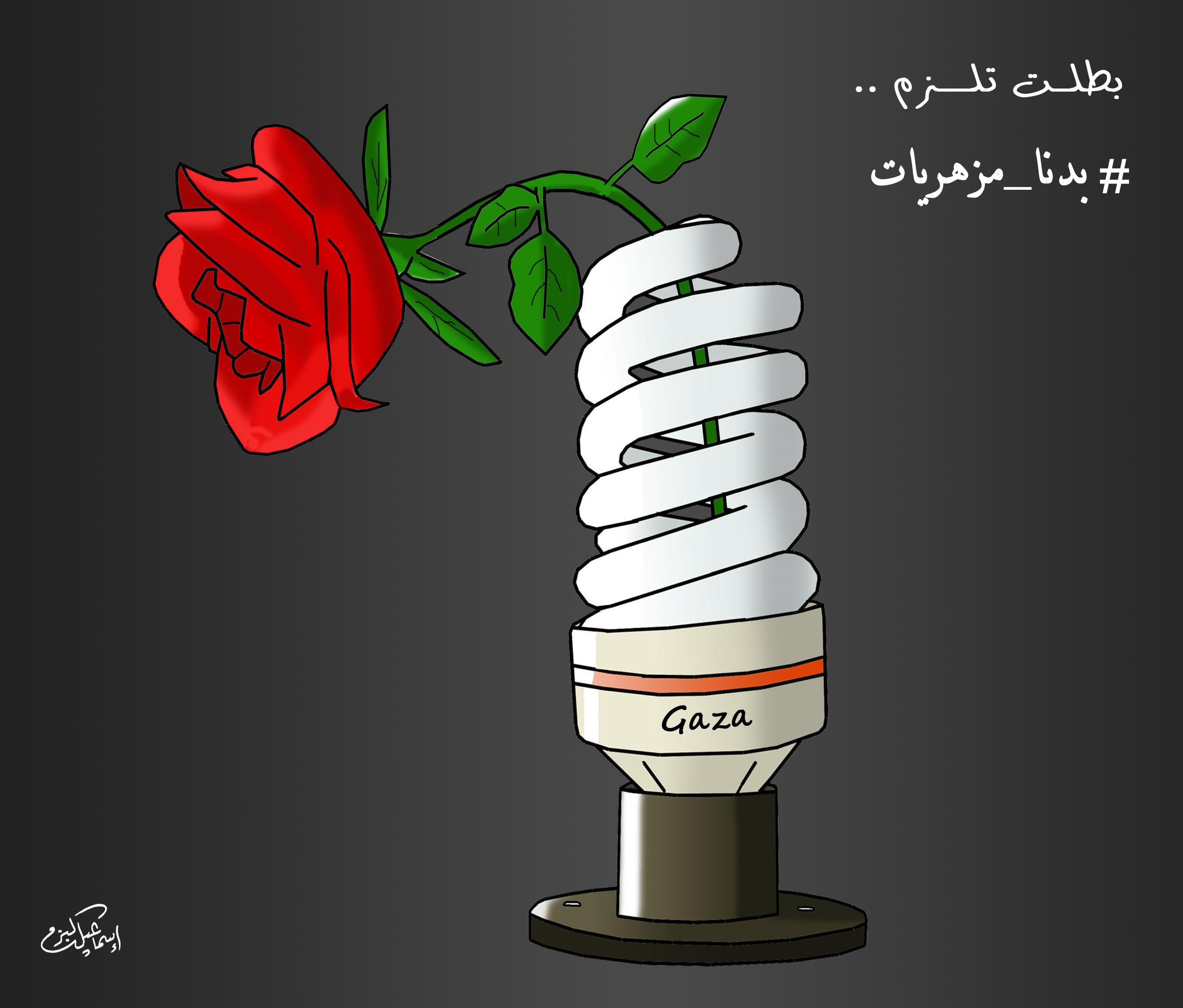 كهرباء غزة بطلت تلزم ..بدنا مزهريات.. اسماعيل البزم
