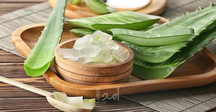 اكتشفي أهم فوائد الألوفيرا الجمالية