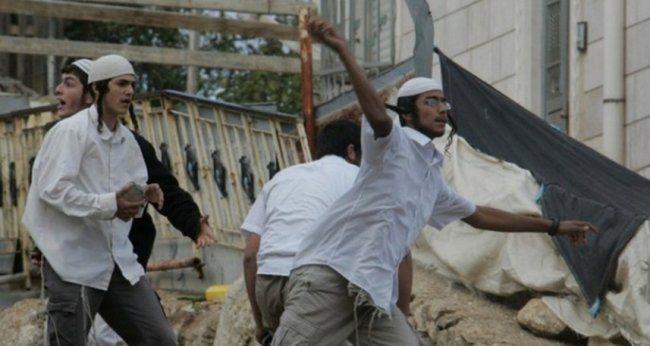 بالضرب والشتائم.. مستوطنون يعتدون على عائلة فلسطينية في  قرية الفريديس بحيفا
