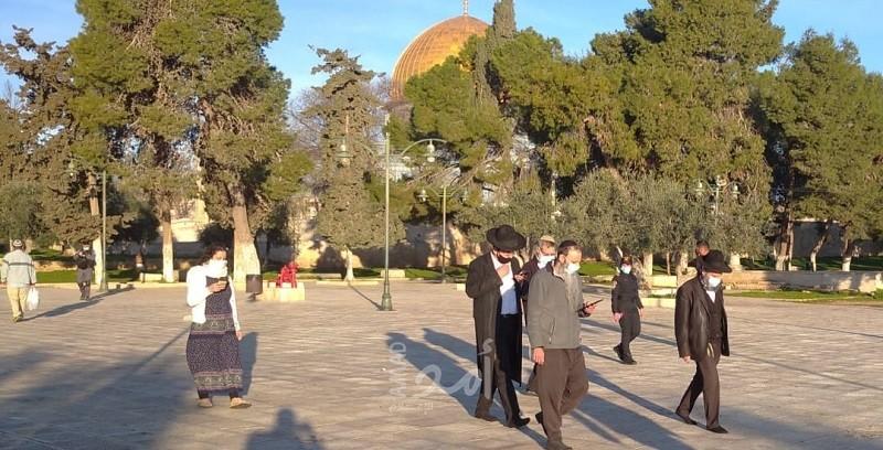 القدس: (69) مستوطنًا اقتحموا ساحات "الأقصى" بحراسة مشددة