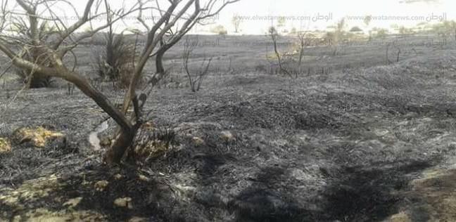 مصر: حريق في 12 فدان نخيل بمنطقة "بئر واحد" أشهر أماكن سيوة السياحية