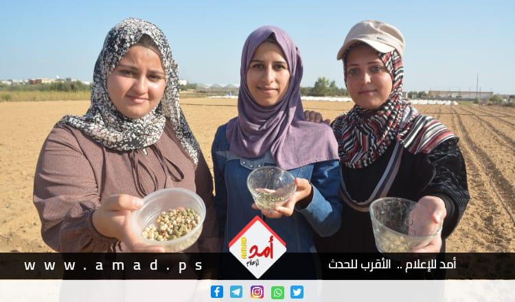 فيديو - شاهد كيف تغلبت فتيات من غزة على مشكلة البطالة