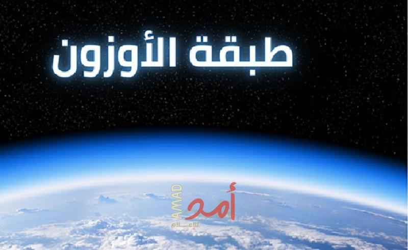 فلسطين تعتبر من الدول الأقل إسهاما في استنزافها