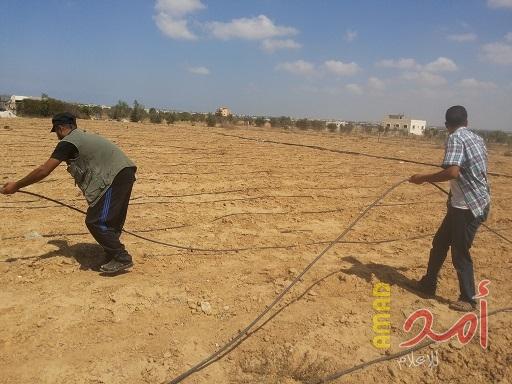 الإغاثة الزراعية تستصلح 60 دونم من الأراضي الزراعية جنوب القطاع