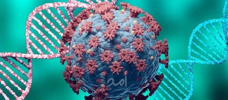 العالم تجاوز 300 مليون إصابة بفيروس "كورونا"