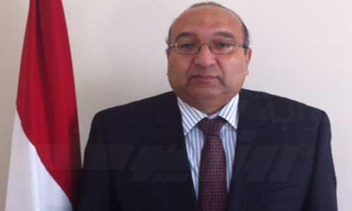مندوب مصر بالأمم المتحدة: "أي دولة ستتعدى على مصر سنرد عليها"