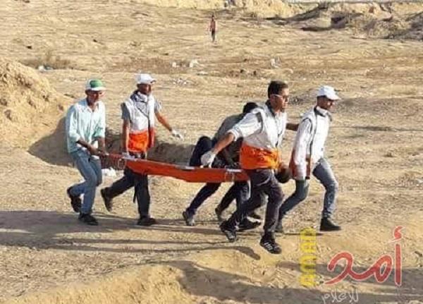 أرشيفية