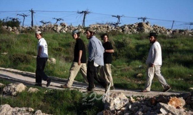 الأغوار: مستوطنون يستولون على نبع مياه