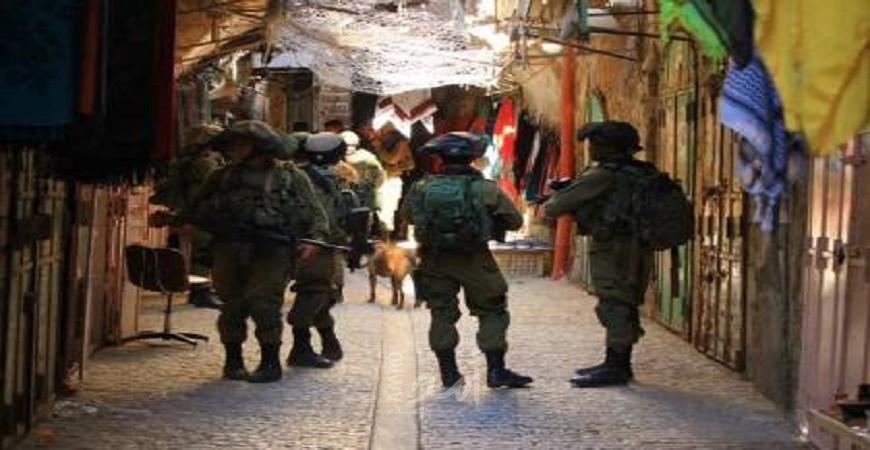 جيش الاحتلال يعتقل ثلاثة نشطاء بريطانيين في الخليل
