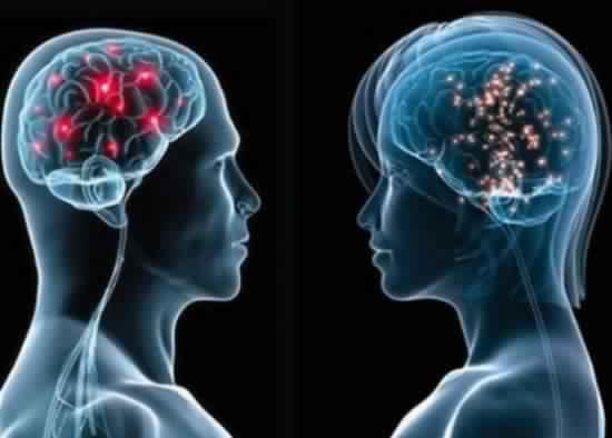 العلماء يكتشفون "مكب السموم" التي يتخلص منها الدماغ