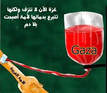 غزة !!!