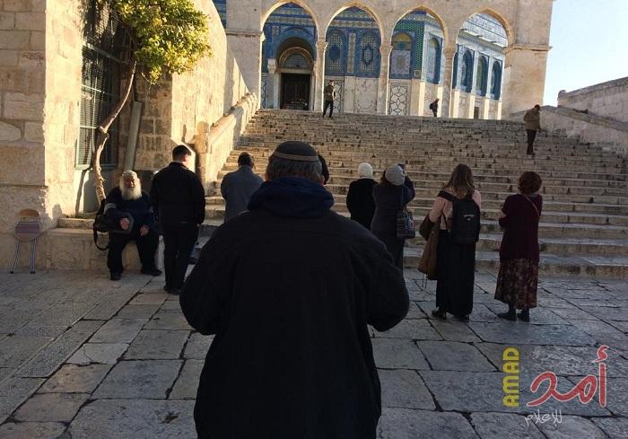 (100) مستوطن يقتحمون الأقصى بحراسة أمنية