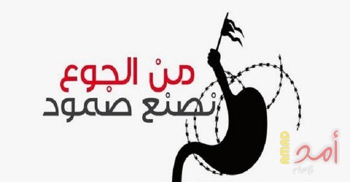 (5) أسرى في سجون الاحتلال يواصلون إضرابهم عن الطعام