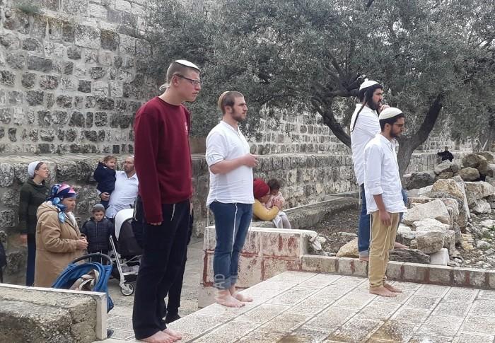 بالفيديو.. مستوطنون يقتحمون قرية كفل حارس في سلفيت