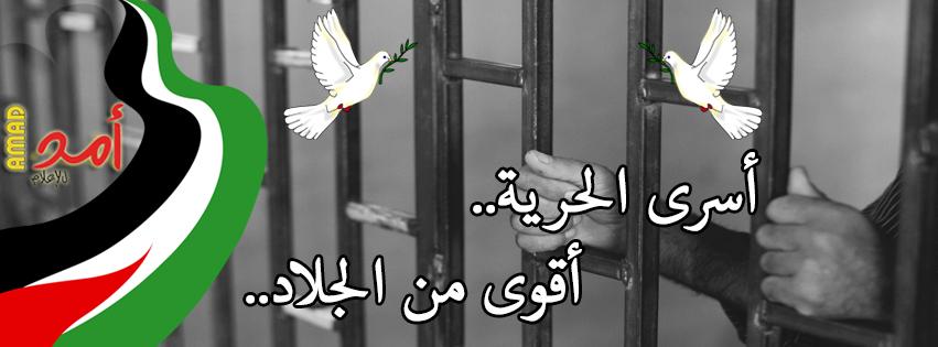 ملخص أحداث اليوم الــ 25 لإضراب الحرية والكرامة