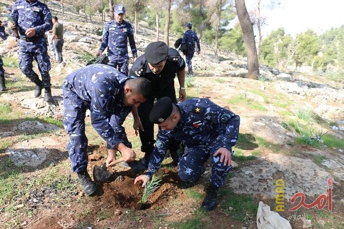 الشرطة تقبض على شخص قطع اشجاراً في بيت لحم